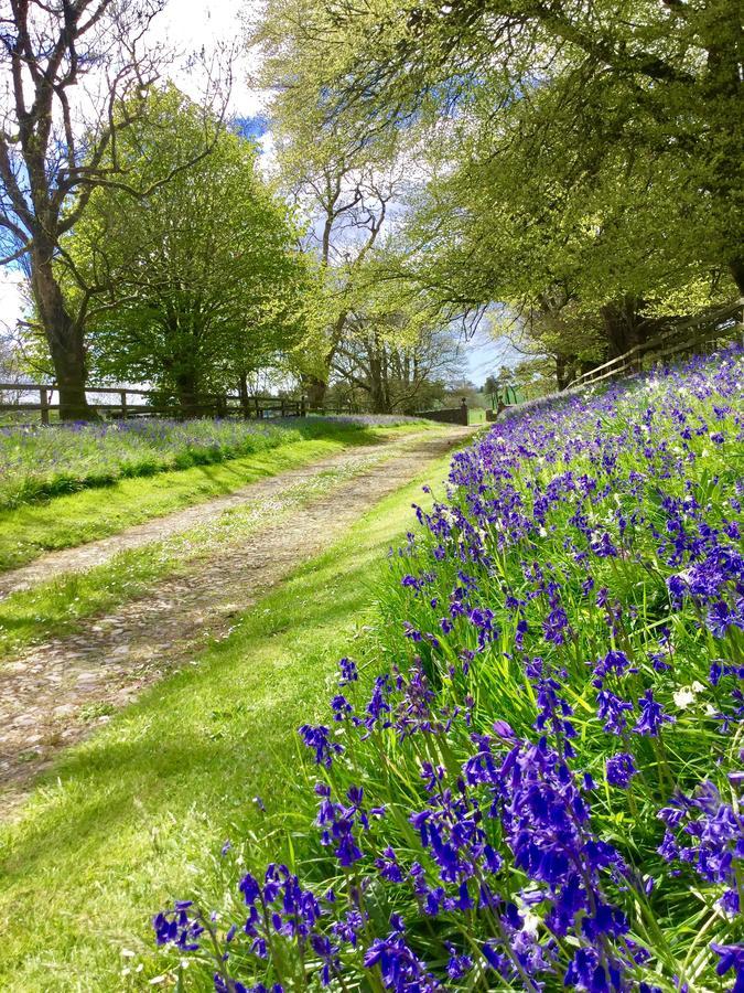 Willowhill House Minane Bridge ภายนอก รูปภาพ