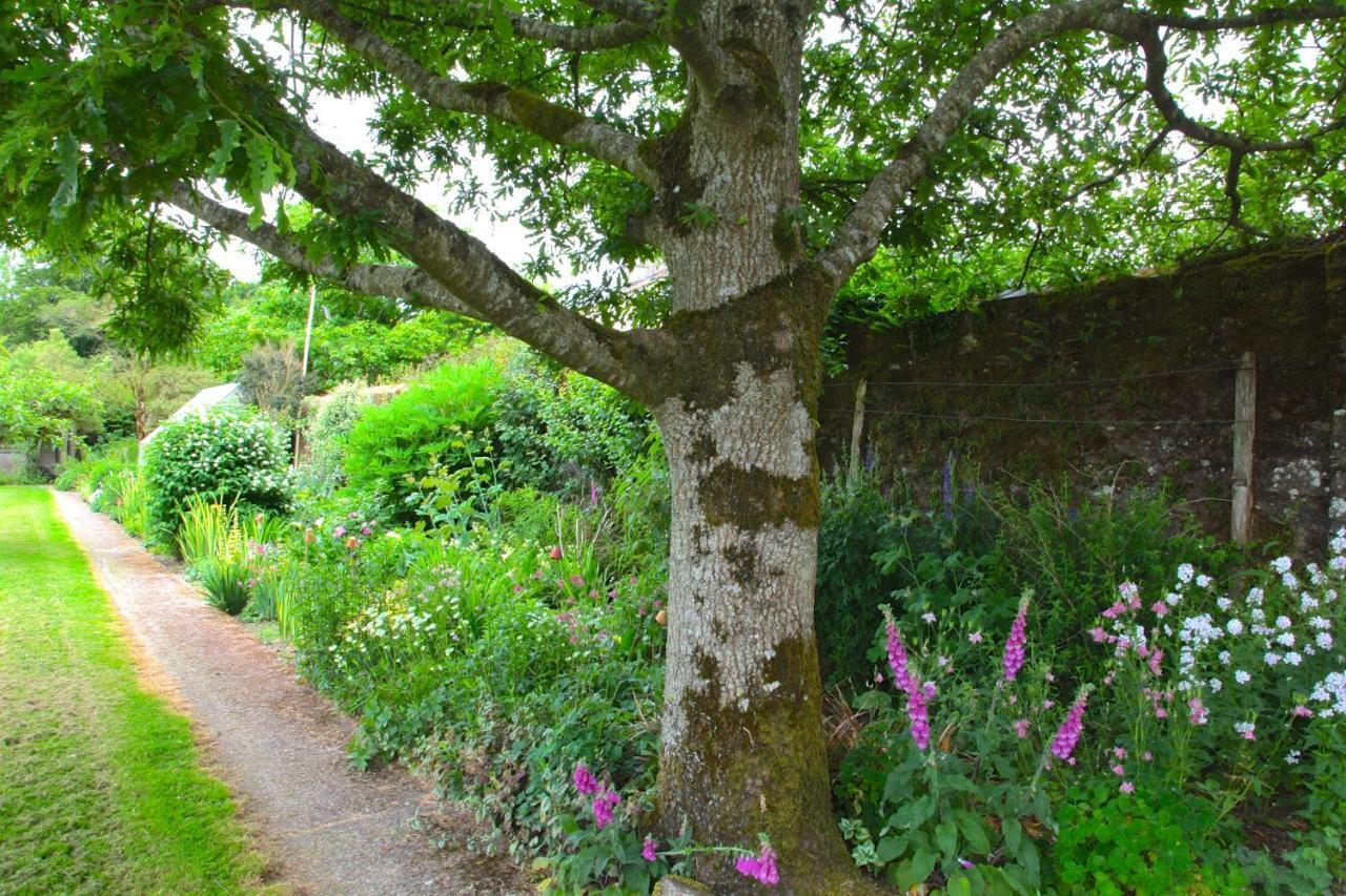 Willowhill House Minane Bridge ภายนอก รูปภาพ